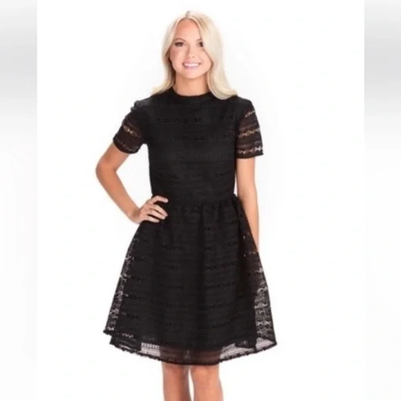 Rachel Parcell Anglaise L Black embroidered overlay fit & flare lined knee dress - Picture 3 of 16